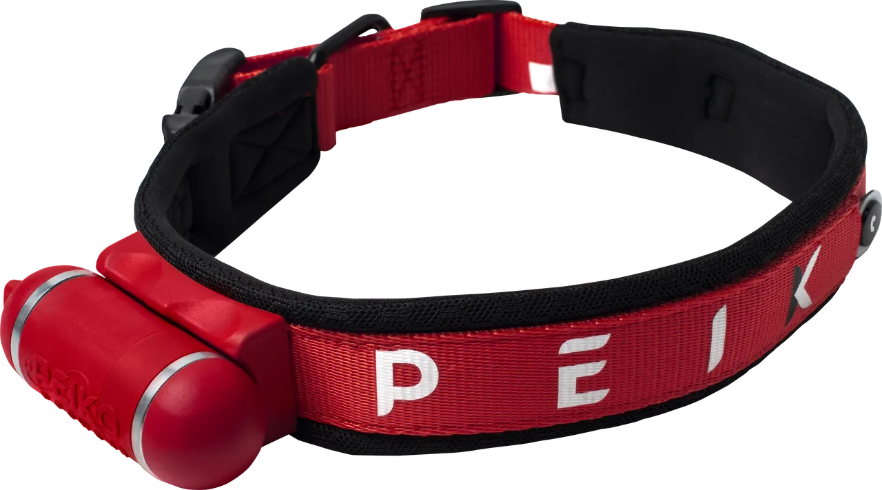 Integrated leash in collar